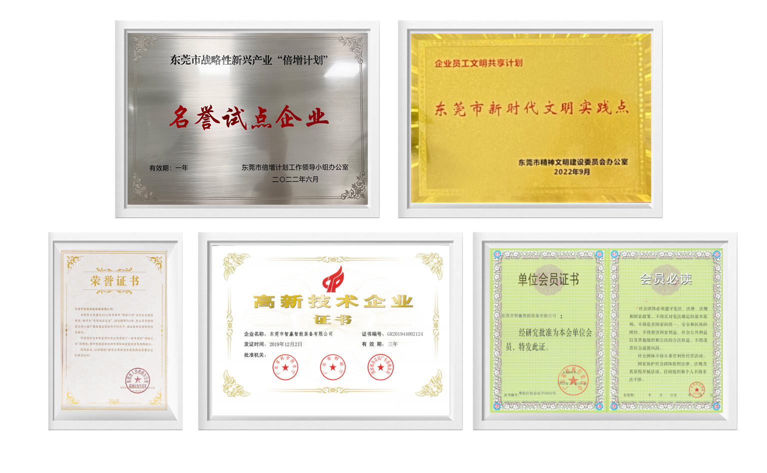 智贏榮譽(yù)證書(shū)11.jpg